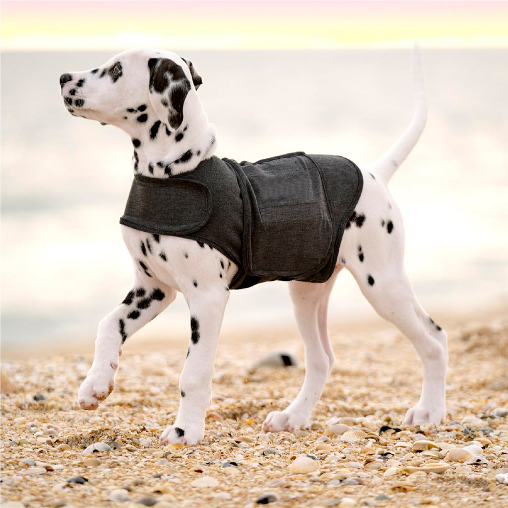 Fashion Dog Clothes Warm Vest