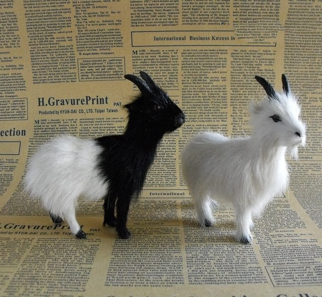 White Sheep Black Sheep View Christmas Gifts