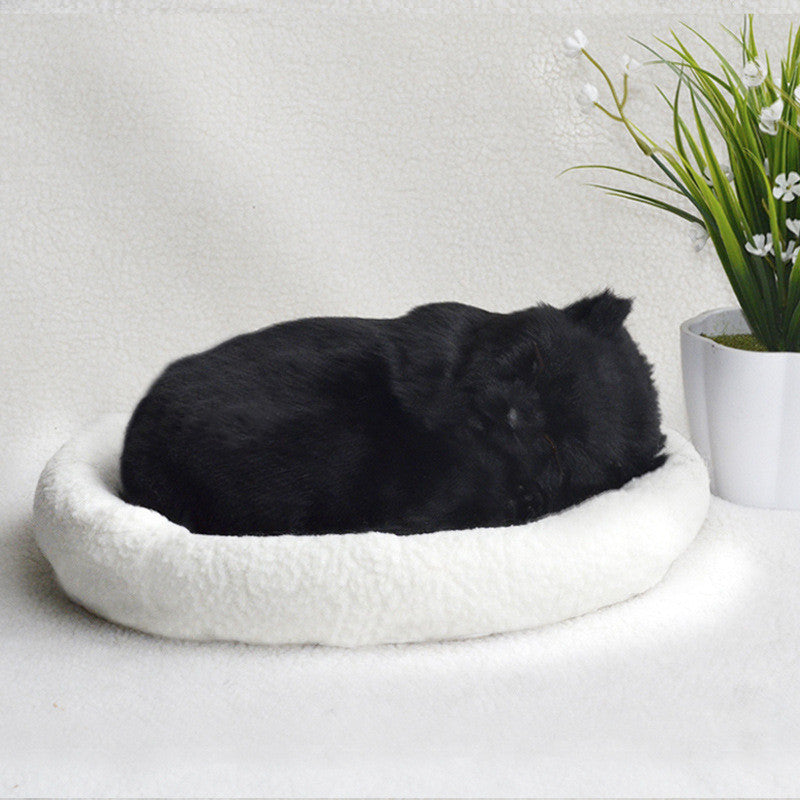 Decoration Creative Birthday Gifts Creative Gifts Crafts Cats That Breathe