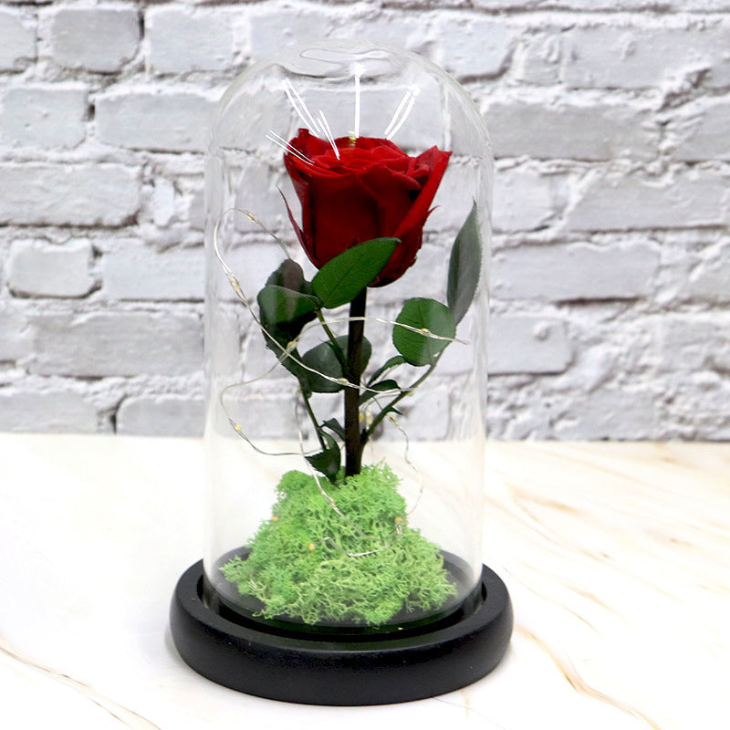 Creative Fashion Flower Decoration Gifts