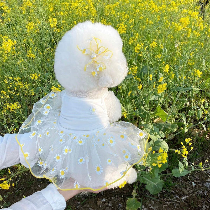 Dog Clothes Fashion Personality Summer Thin