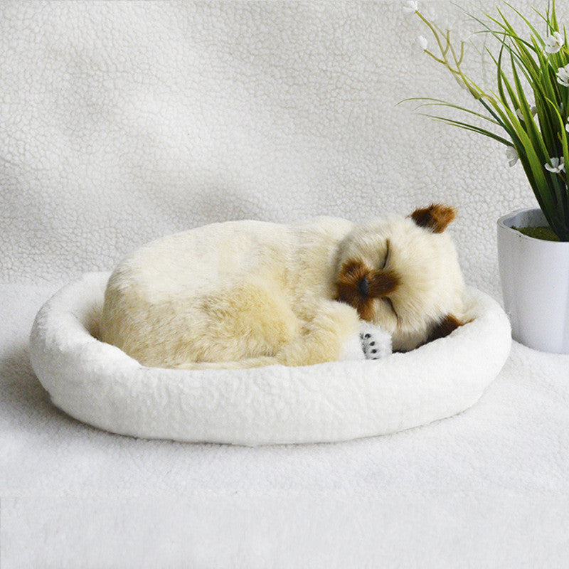 Decoration Creative Birthday Gifts Creative Gifts Crafts Cats That Breathe