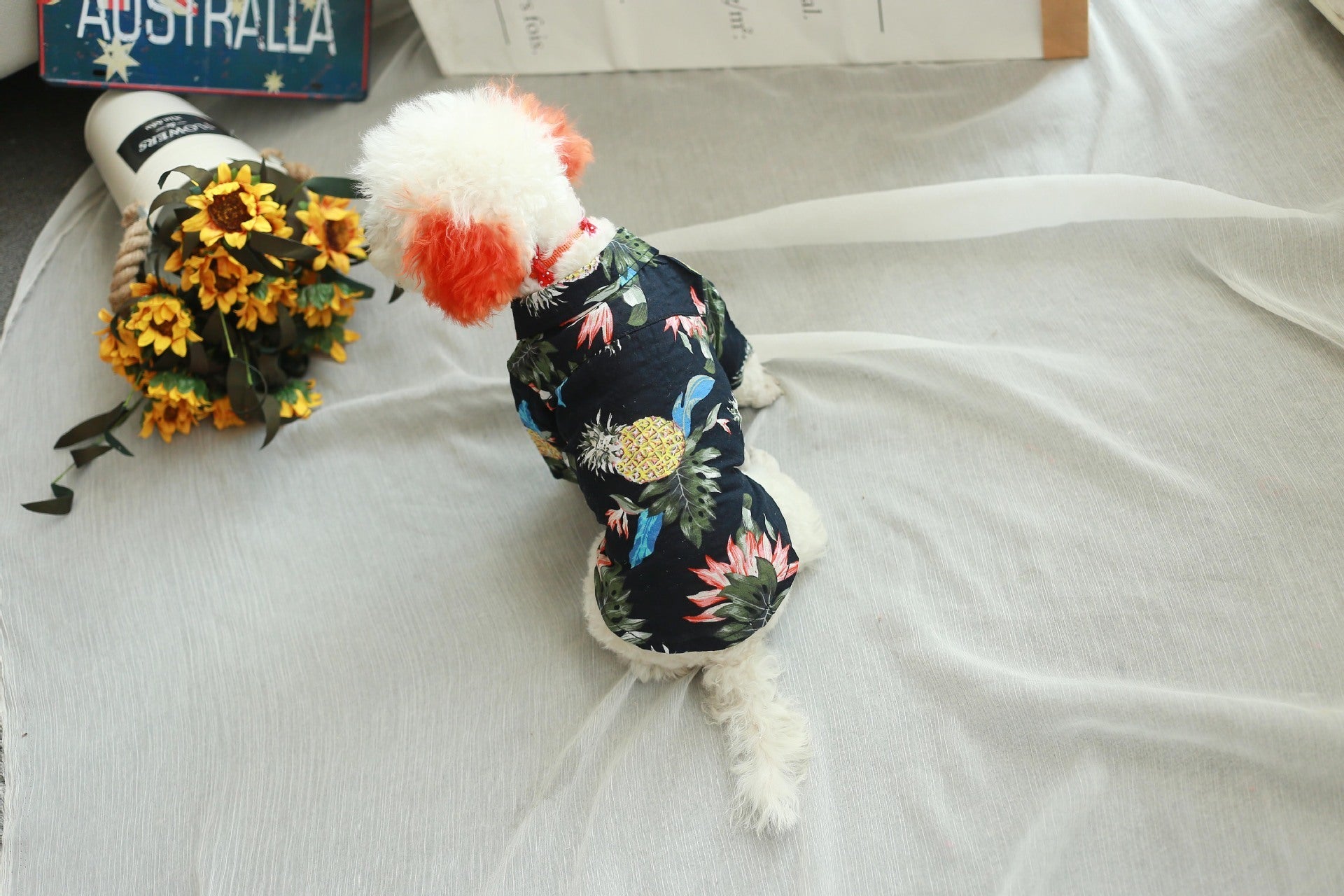 Dog clothes fashion shirt