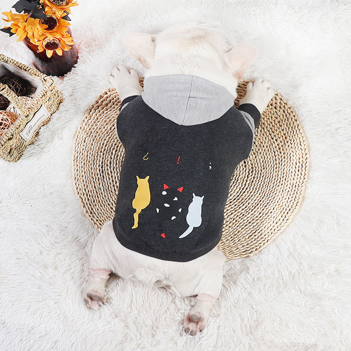 Pet Dog Fashion Sweater Two-legged Clothes