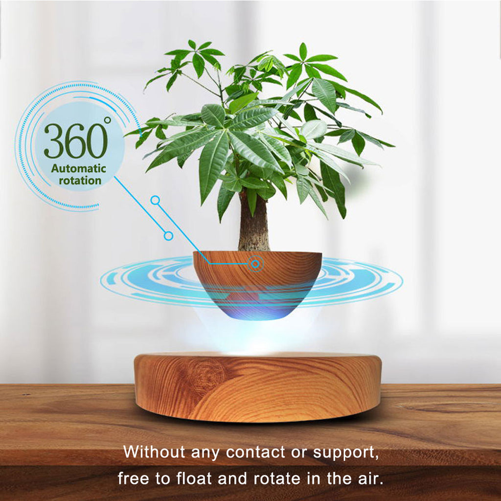 Maglev Potted Home Creative Gifts Desktop Ornaments
