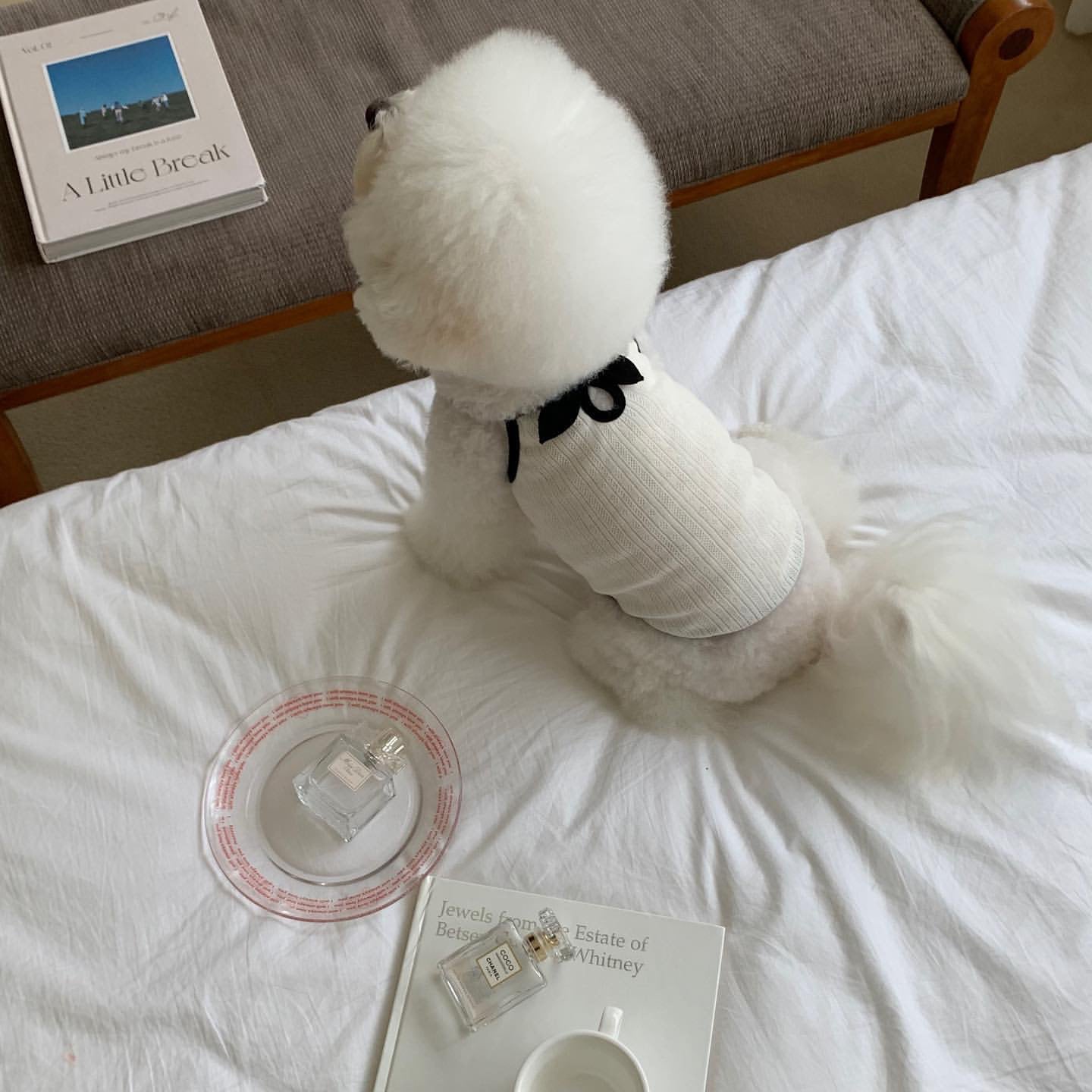 Fashion Personality Dog Clothes Camisole