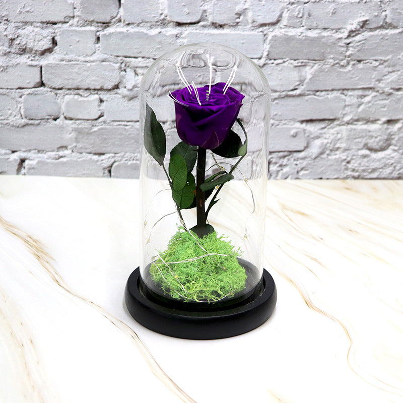 Creative Fashion Flower Decoration Gifts