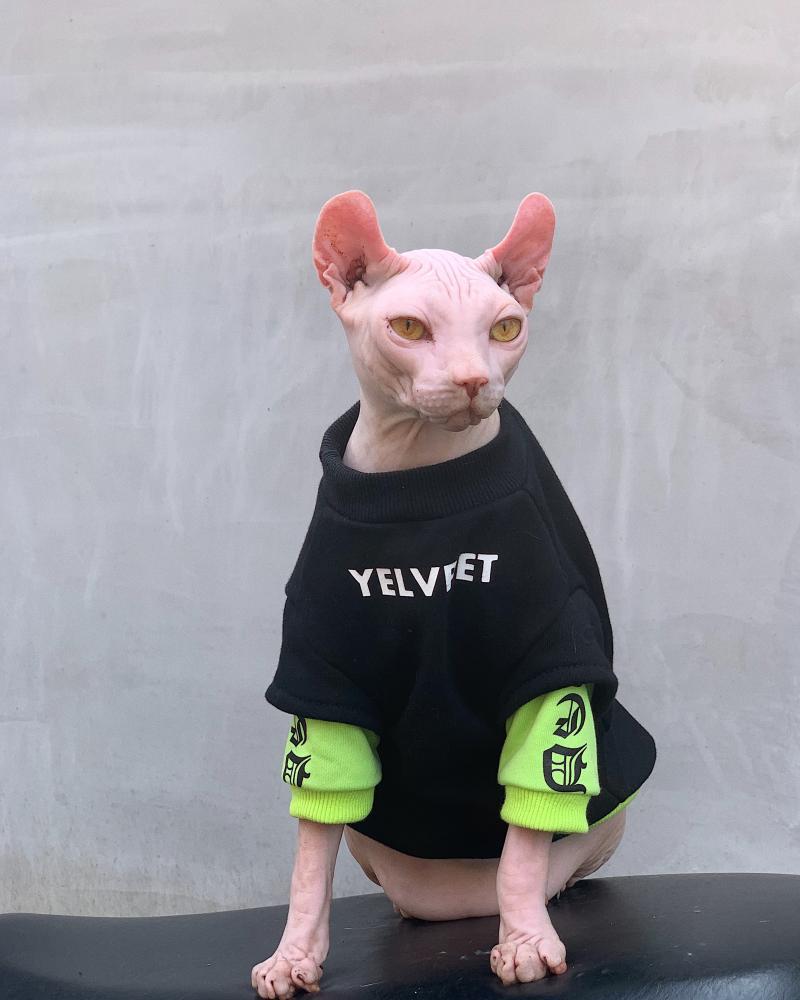 Fashion Dog English Alphabet Short Clothes