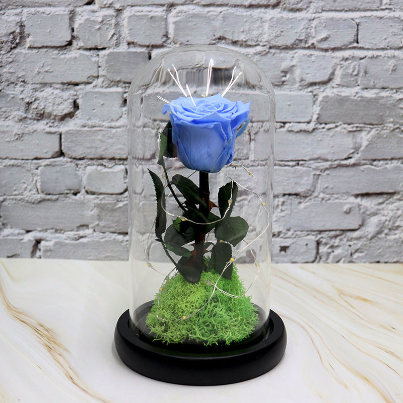 Creative Fashion Flower Decoration Gifts