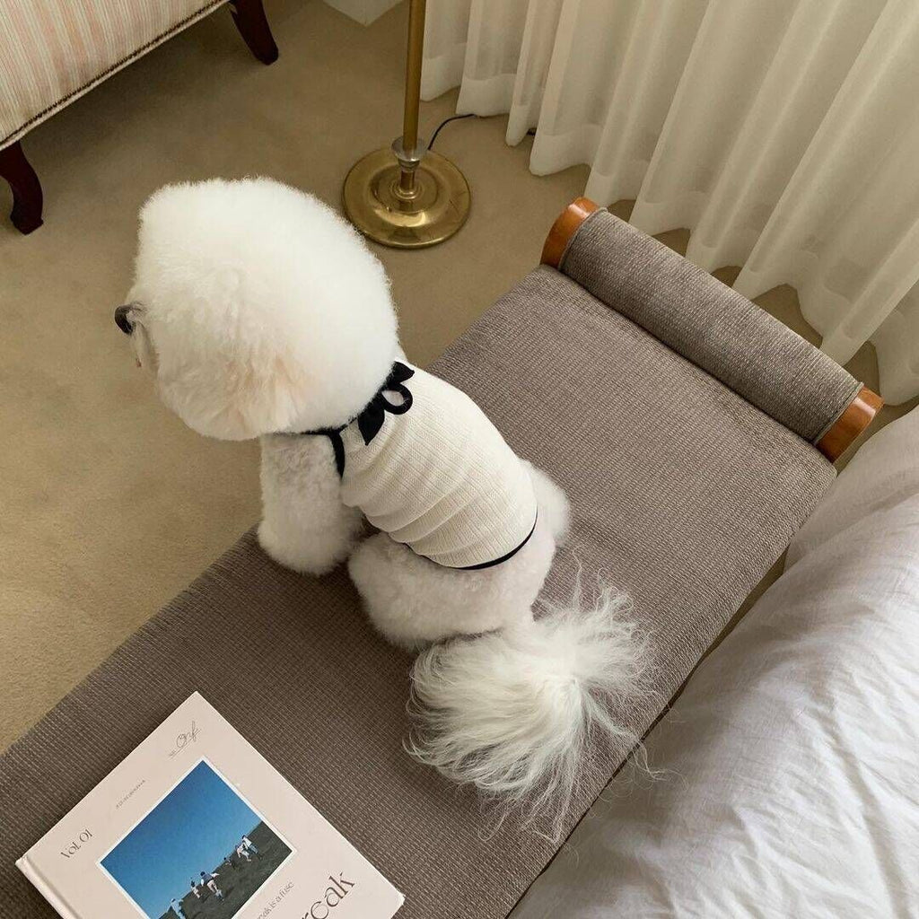 Fashion Personality Dog Clothes Camisole