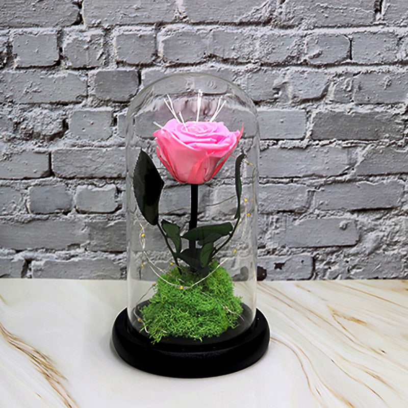 Creative Fashion Flower Decoration Gifts