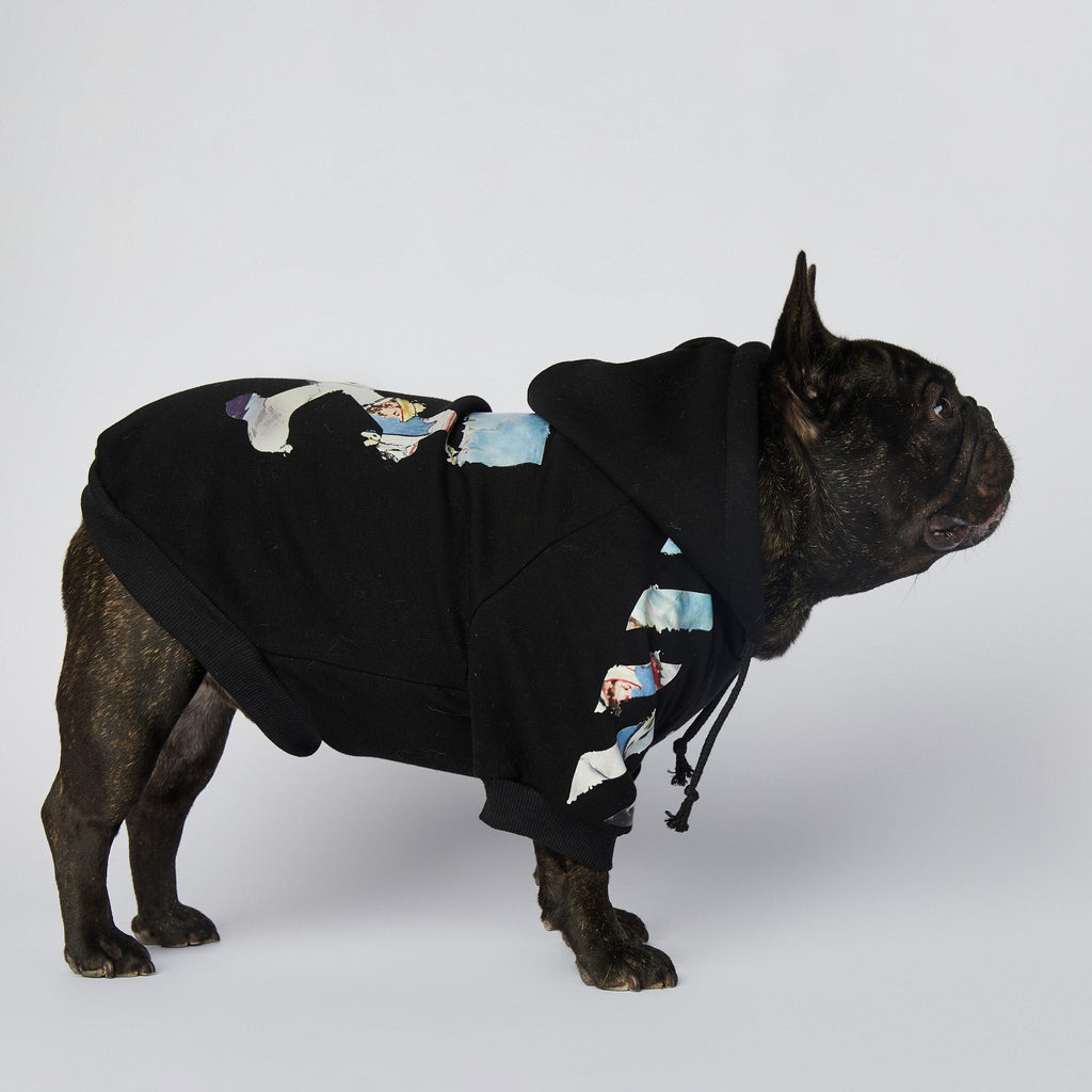 Schnauzer Pet Clothes Fashion Brand