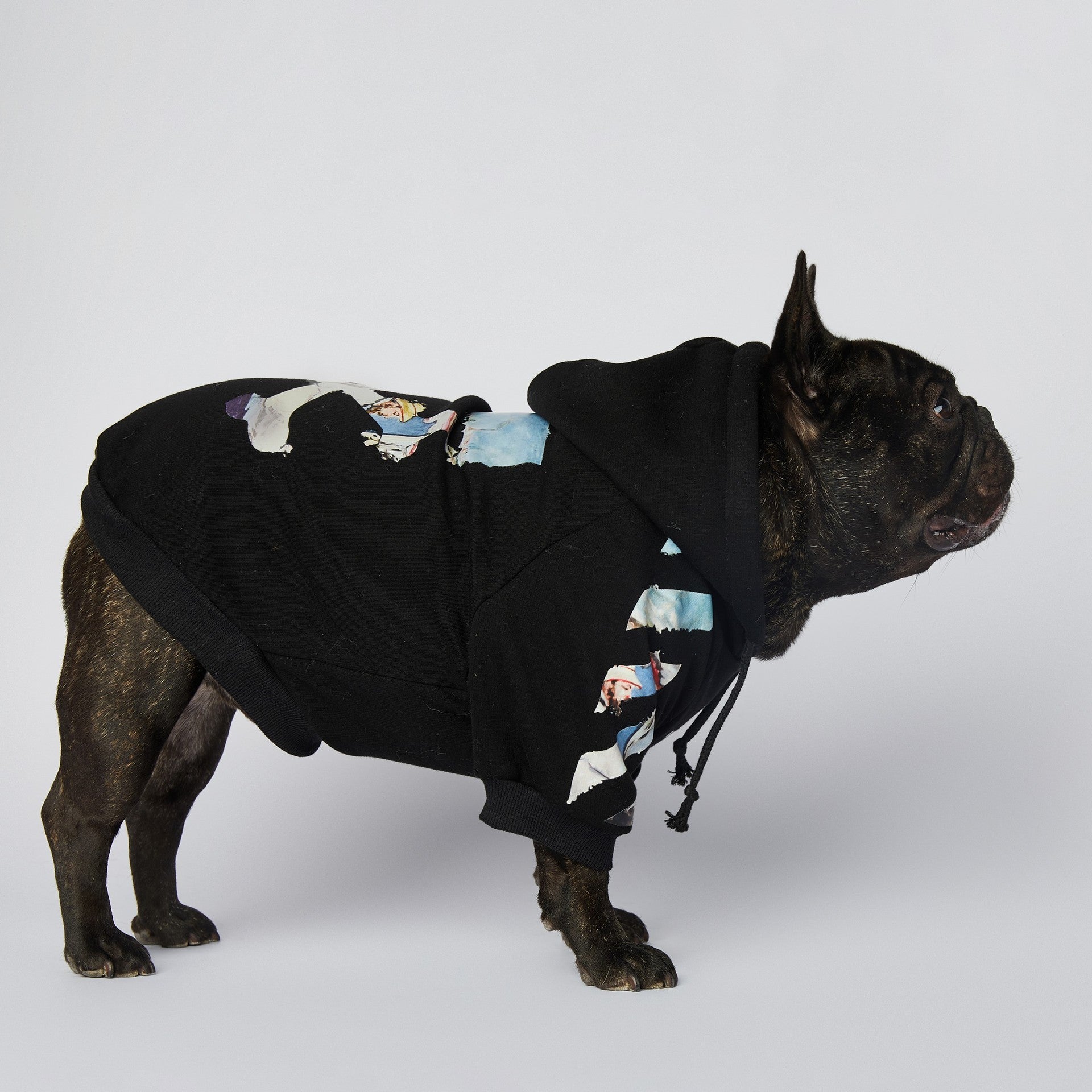 Schnauzer Pet Clothes Fashion Brand