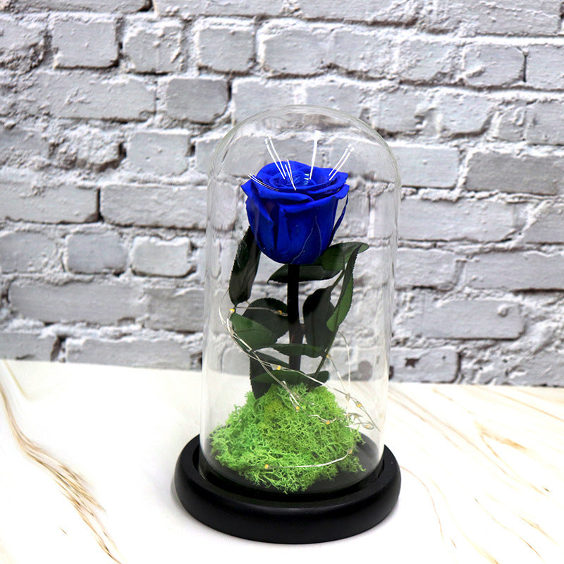 Creative Fashion Flower Decoration Gifts