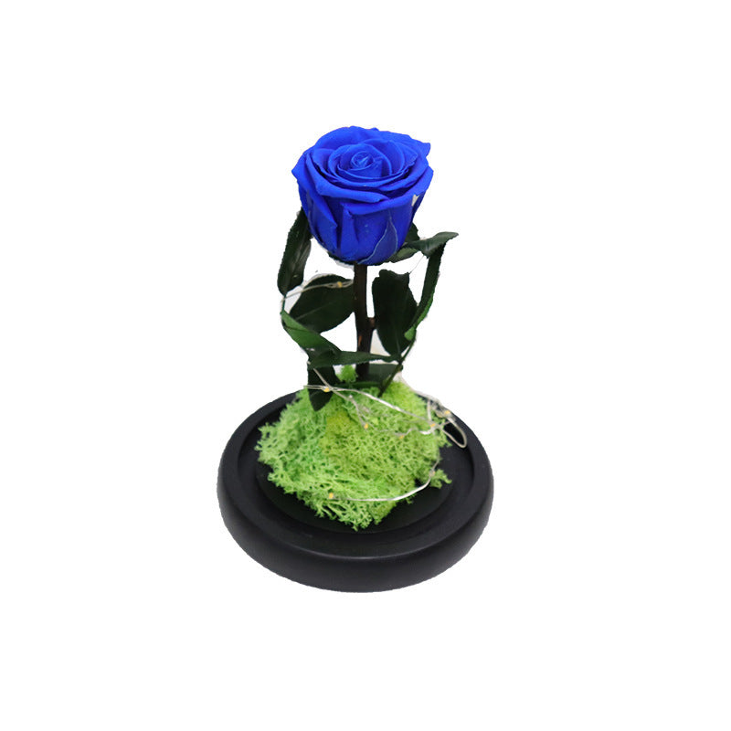 Creative Fashion Flower Decoration Gifts