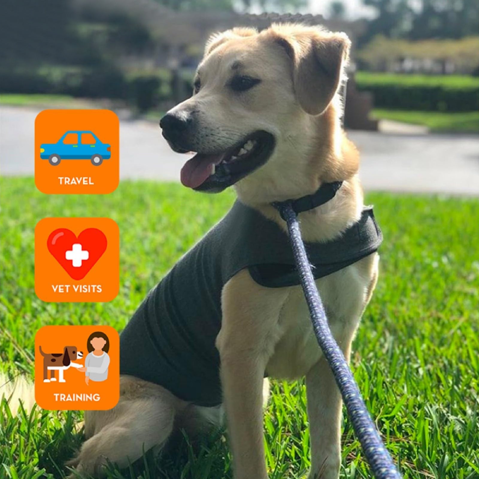 Fashion Dog Clothes Warm Vest