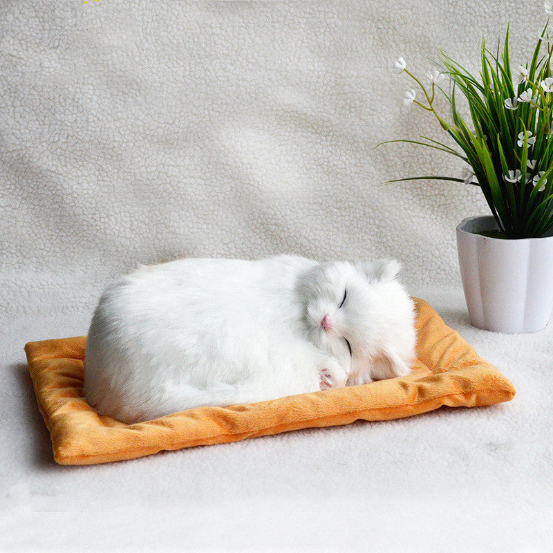 Decoration Creative Birthday Gifts Creative Gifts Crafts Cats That Breathe