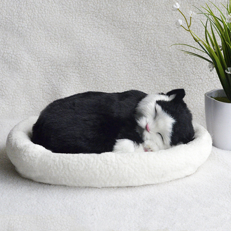 Decoration Creative Birthday Gifts Creative Gifts Crafts Cats That Breathe