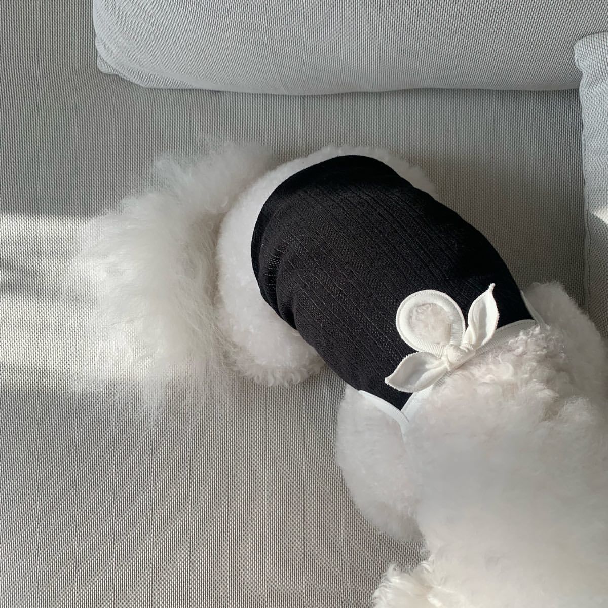 Fashion Personality Dog Clothes Camisole