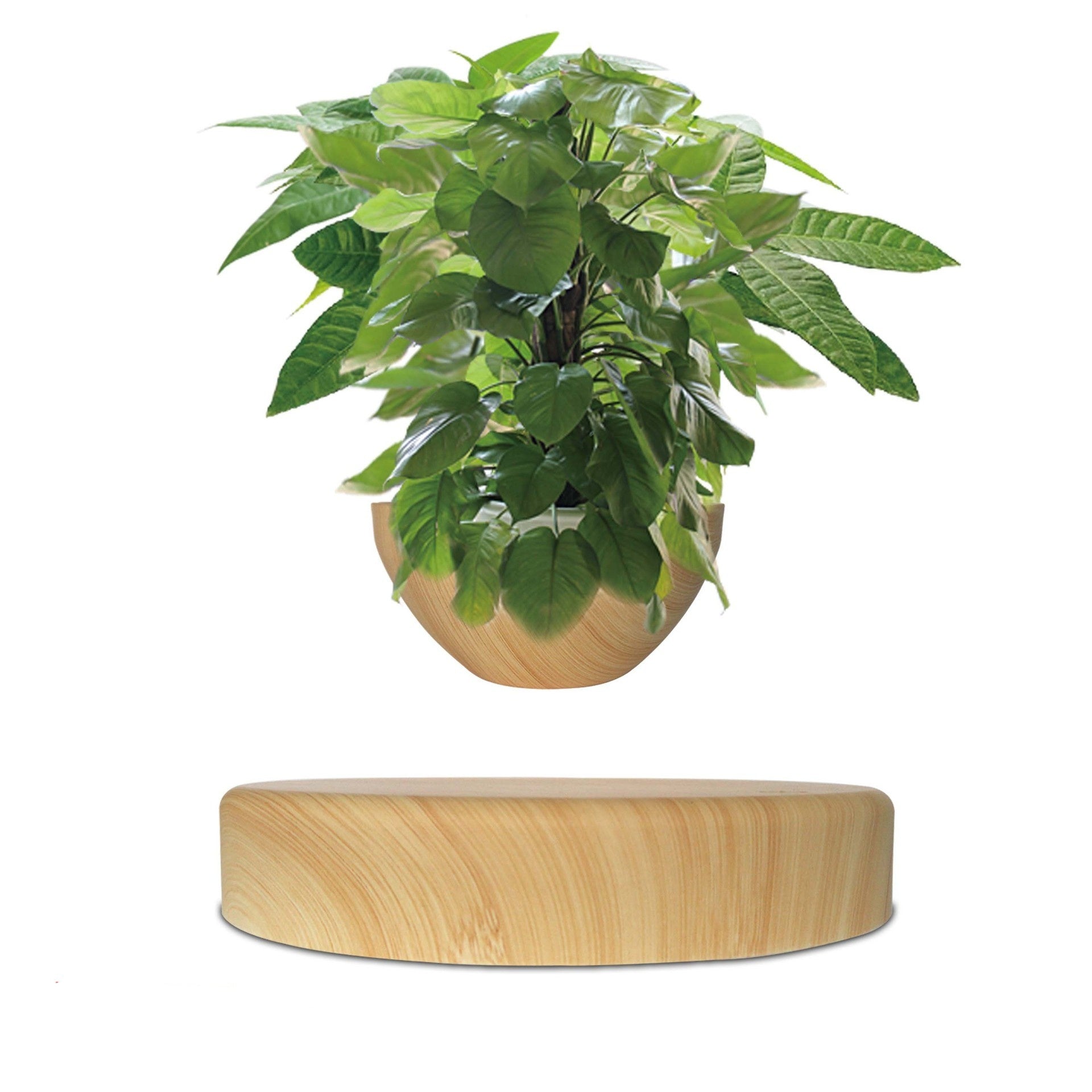 Maglev Potted Home Creative Gifts Desktop Ornaments