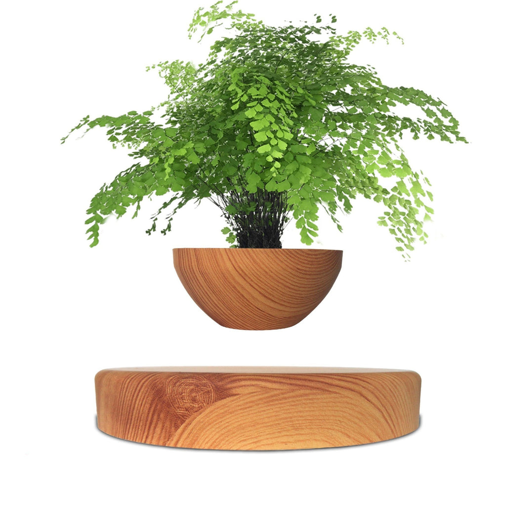 Maglev Potted Home Creative Gifts Desktop Ornaments